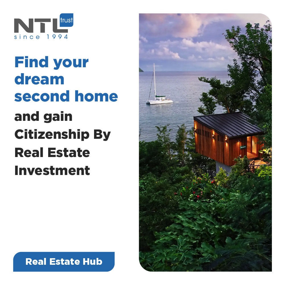 NTL Trust Banner ad